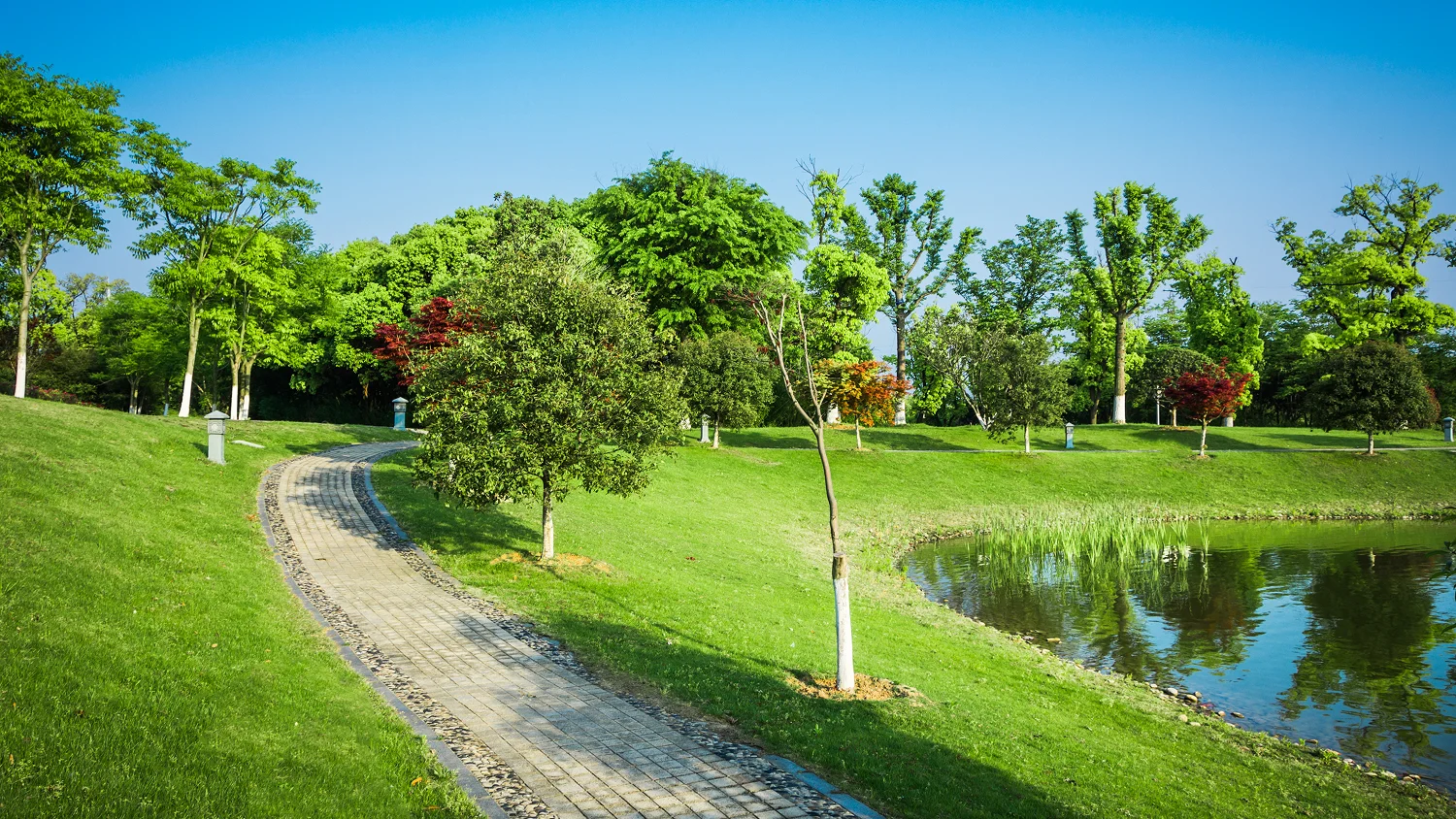la serein pool view
